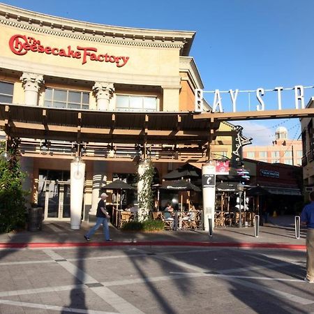 La Casita Of Raymond James Stadium Leilighet Tampa Eksteriør bilde